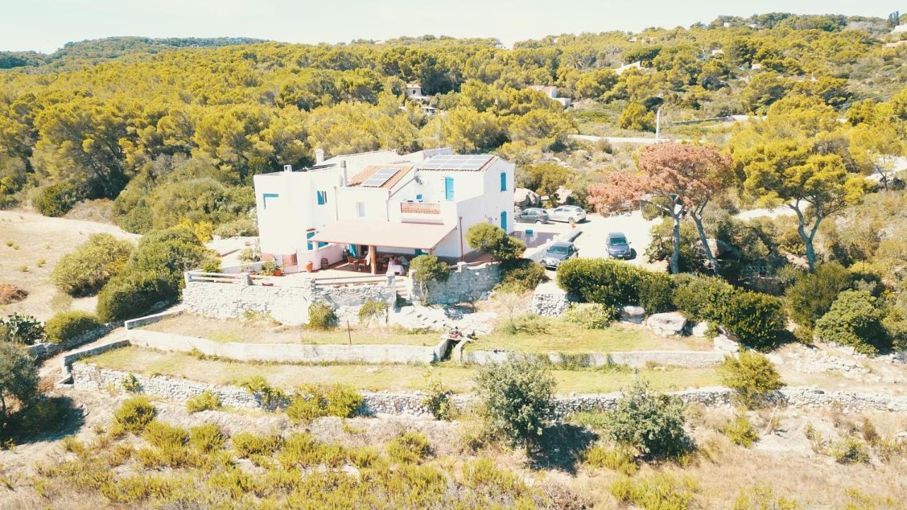 Villa Brigida 卡洛福泰 外观 照片